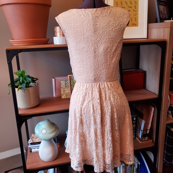 Streetwear Society Blush Lace Dress Sz. SM - Picture 3 of 5
